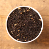 Ginger Chai - Sample