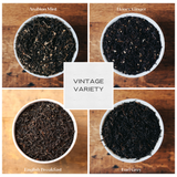 Vintage Variety